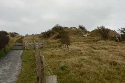 DSC_1304 (Large).JPG